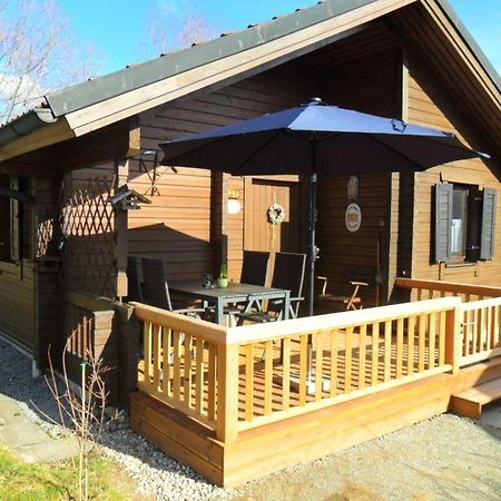 Komfortables-Ferienblockhaus-Nr-27-56-Qm-Bis-4-Personen-Viechtach-Jaegerpark Esterno foto
