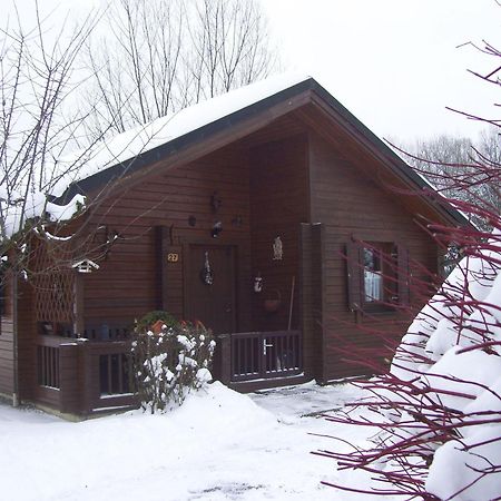 Komfortables-Ferienblockhaus-Nr-27-56-Qm-Bis-4-Personen-Viechtach-Jaegerpark Esterno foto